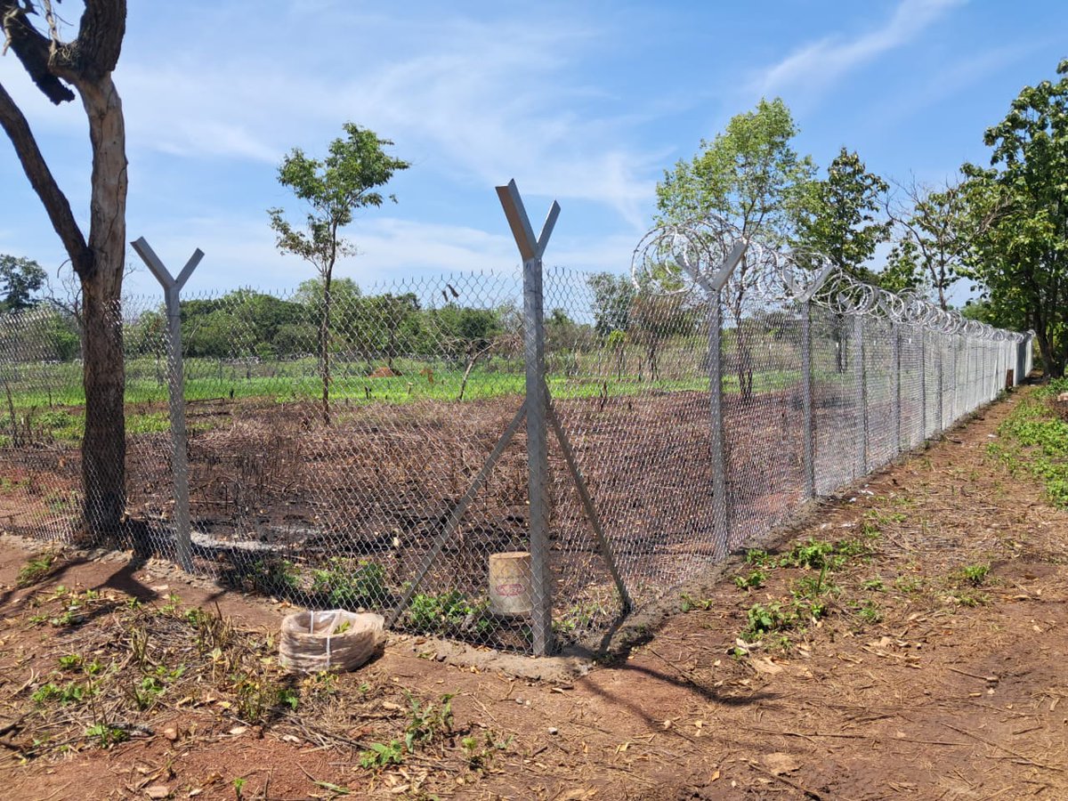 FAOSouthSudan's tweet image. The #GRACE Project in Nzara County, implemented by @WFP, @ITCnews &amp;amp; @FAO, with @EUinSouthSudan funding, is driving green, climate-resilient growth.

Work includes 2 boreholes, 2 water towers, 4 livestock troughs &amp;amp; 2 fenced irrigation sites 🚰🐄🌾

Boosting #FoodSecurity &amp;amp; jobs 🍽️