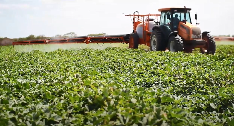 REVISTAFYH's tweet image. Los #agricultores prevén un 15 % menos de producción mundial ante la falta de #fertilizantes

Los agricultores del hemisferio sur están teniendo más dificultades que los del norte.

fyh.es/los-agricultor… #WFO @worldfarmersorg