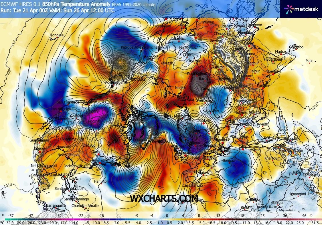 Fred Blogs mac. tweet media