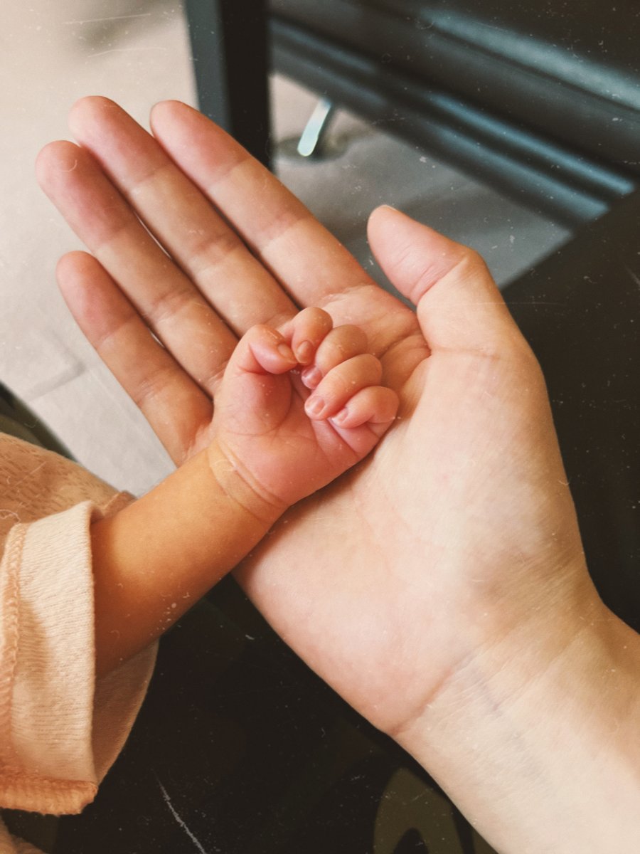 夢日記 tweet media