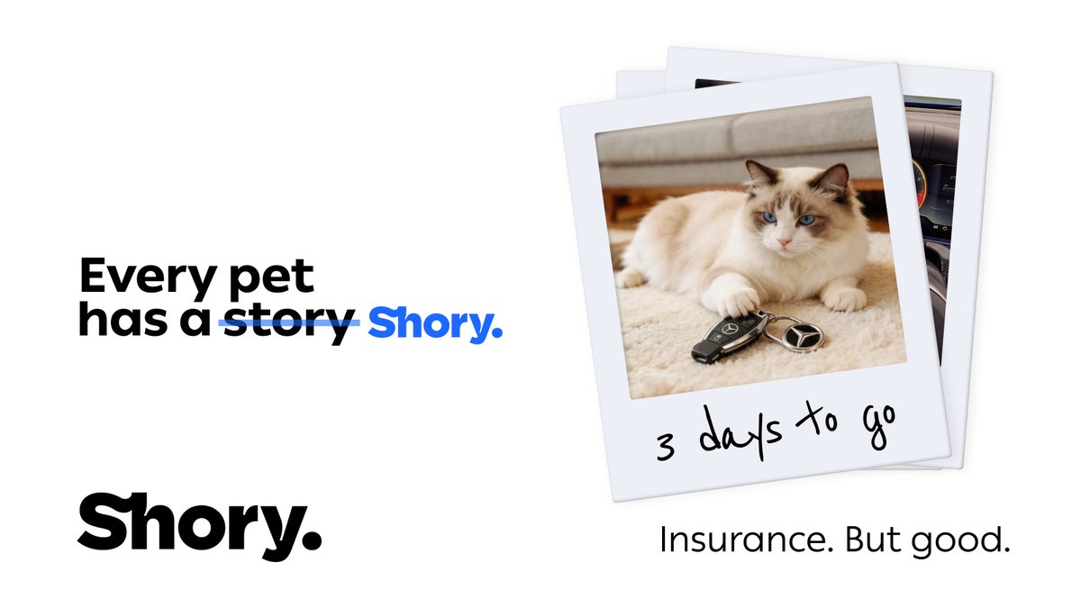 Shory Insurance 🇦🇪 tweet media