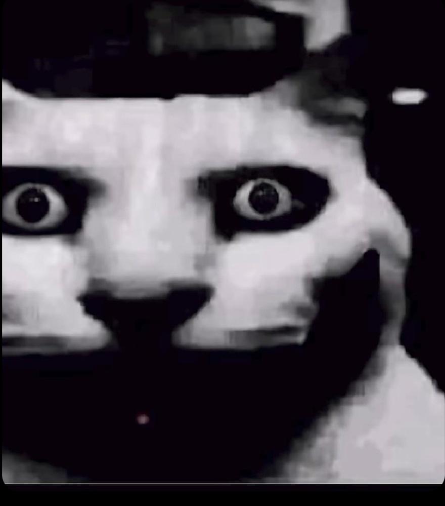 Katalahari 🇦🇴🇨🇻 tweet media