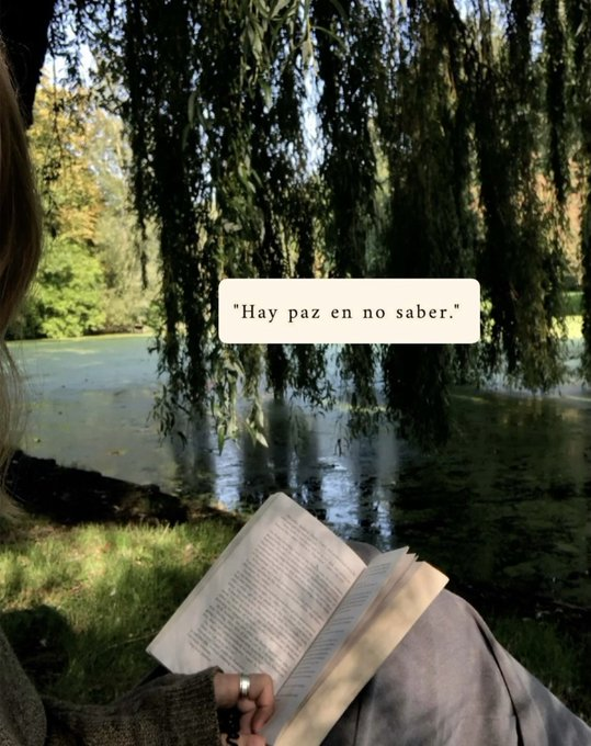 17 duras Lecciones de Vida que debes entender:
1.