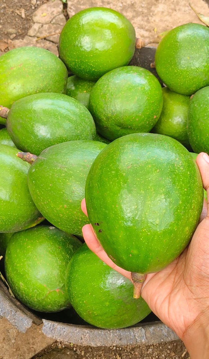 thiss grett 📌 tweet media