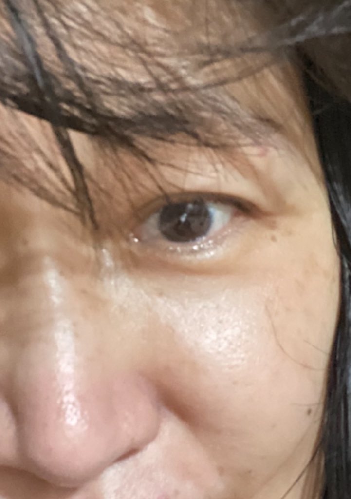 🍃🐤ヒヨコ豆🐤🍃避難用 tweet media