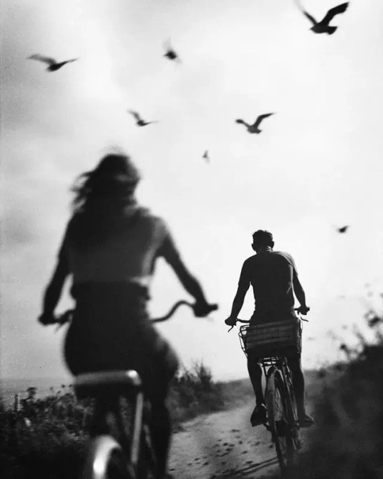 Tuesday ☀️
~
It is a serious thing 
just to be alive 
on this fresh morning 
in this broken world  -  Mary Oliver 
~
Hannes Caspar photography