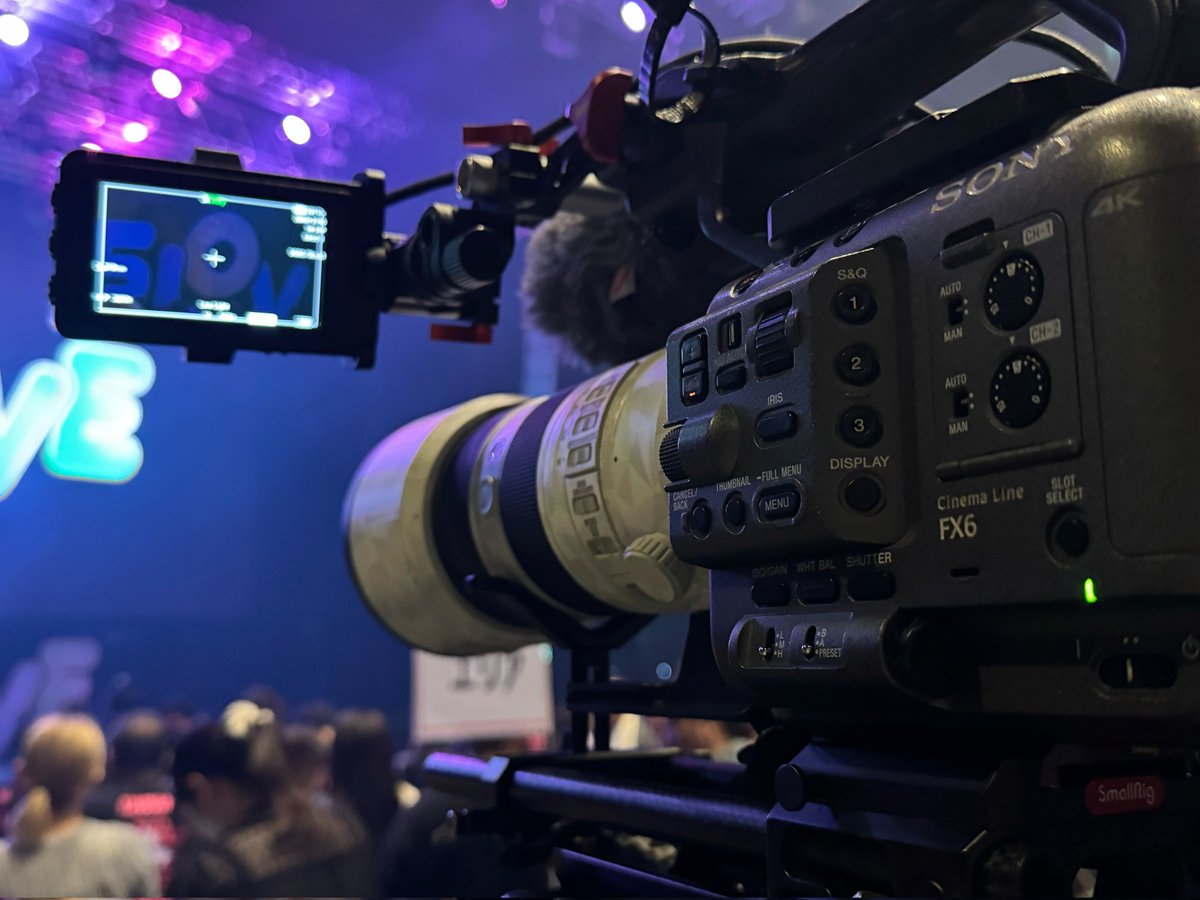 麻倉こはく🦚 tweet media