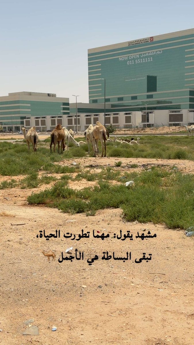 محسن بن عبدالله tweet media