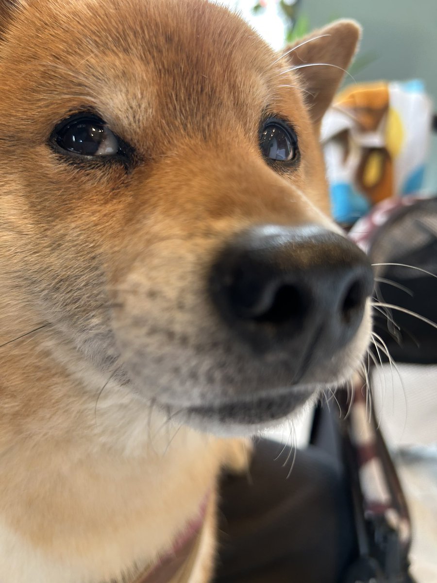 H I R O M I tweet media