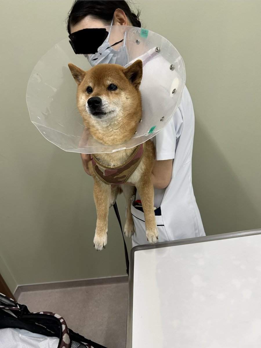 H I R O M I tweet media