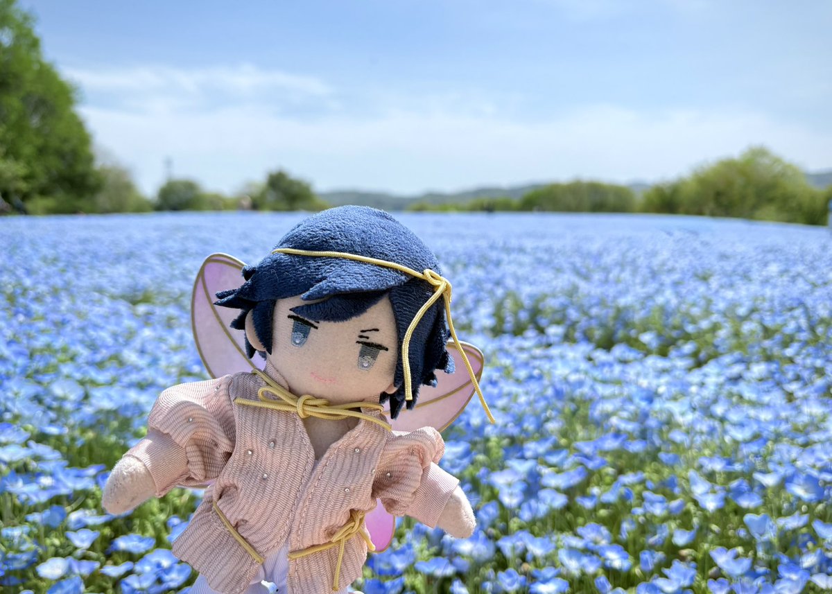 えだまめ（おかめ） tweet media