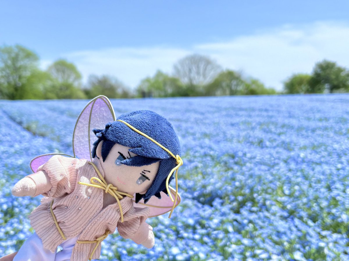 えだまめ（おかめ） tweet media