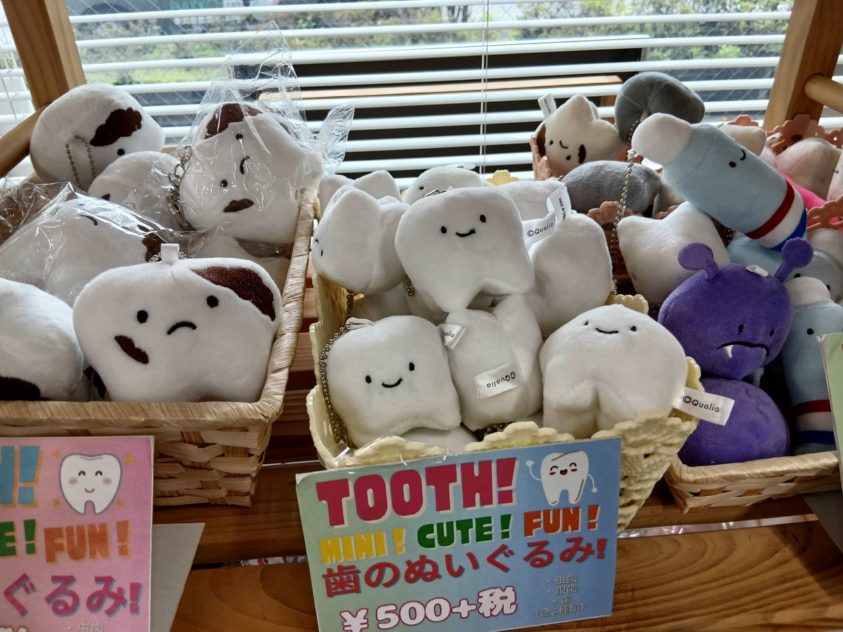 東京都歯科医師会 広報 tweet media