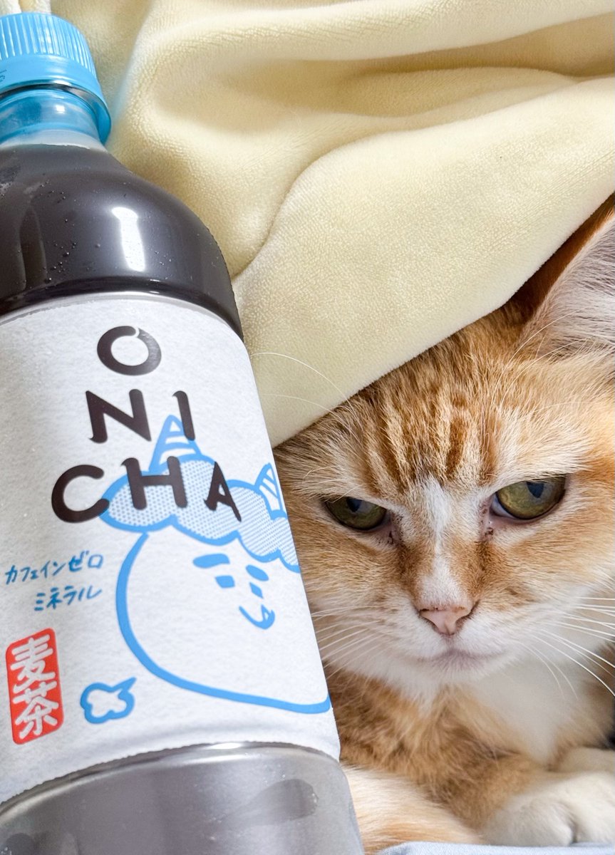 つぶら tweet media