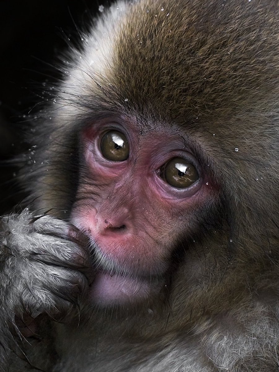 まちゅばら/ Hiroki Matsubara tweet media