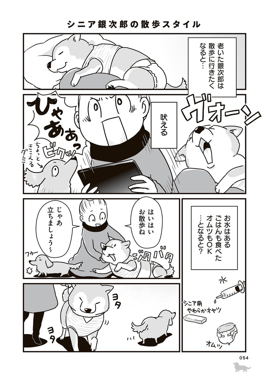 【再掲】「シニア銀次郎の散歩スタイル」(1/2) 