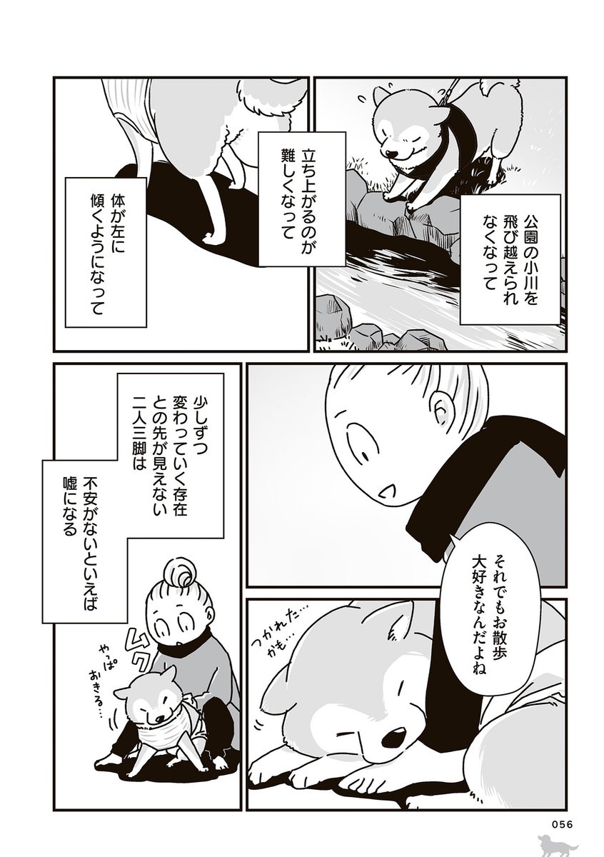 【再掲】「シニア銀次郎の散歩スタイル」(2/2) 