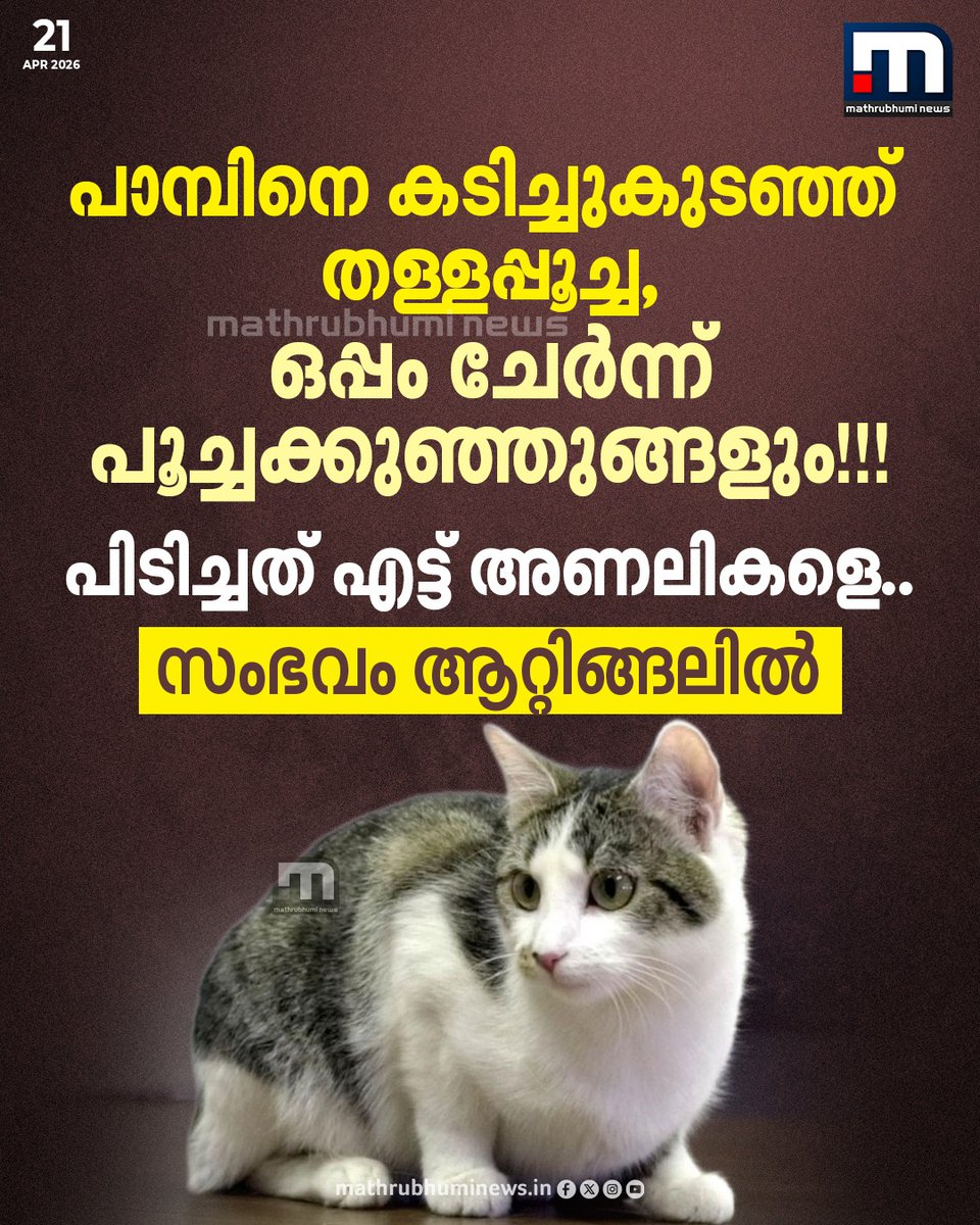 Mathrubhumi News tweet media