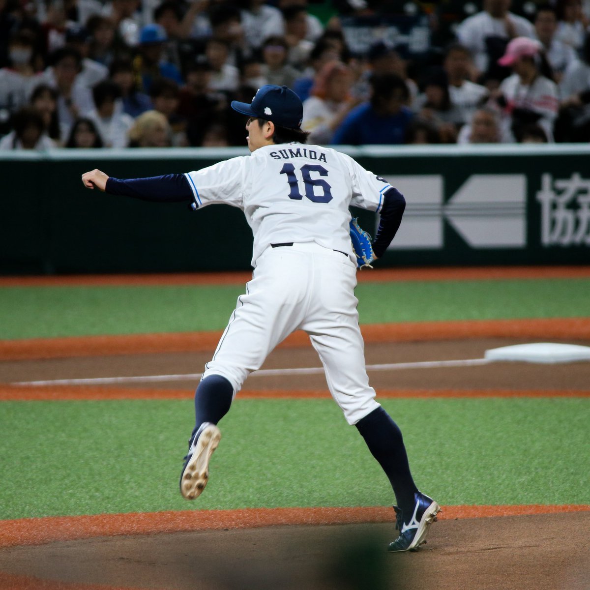 𝔇𝔒𝔄𝔑 ⚾️ tweet media