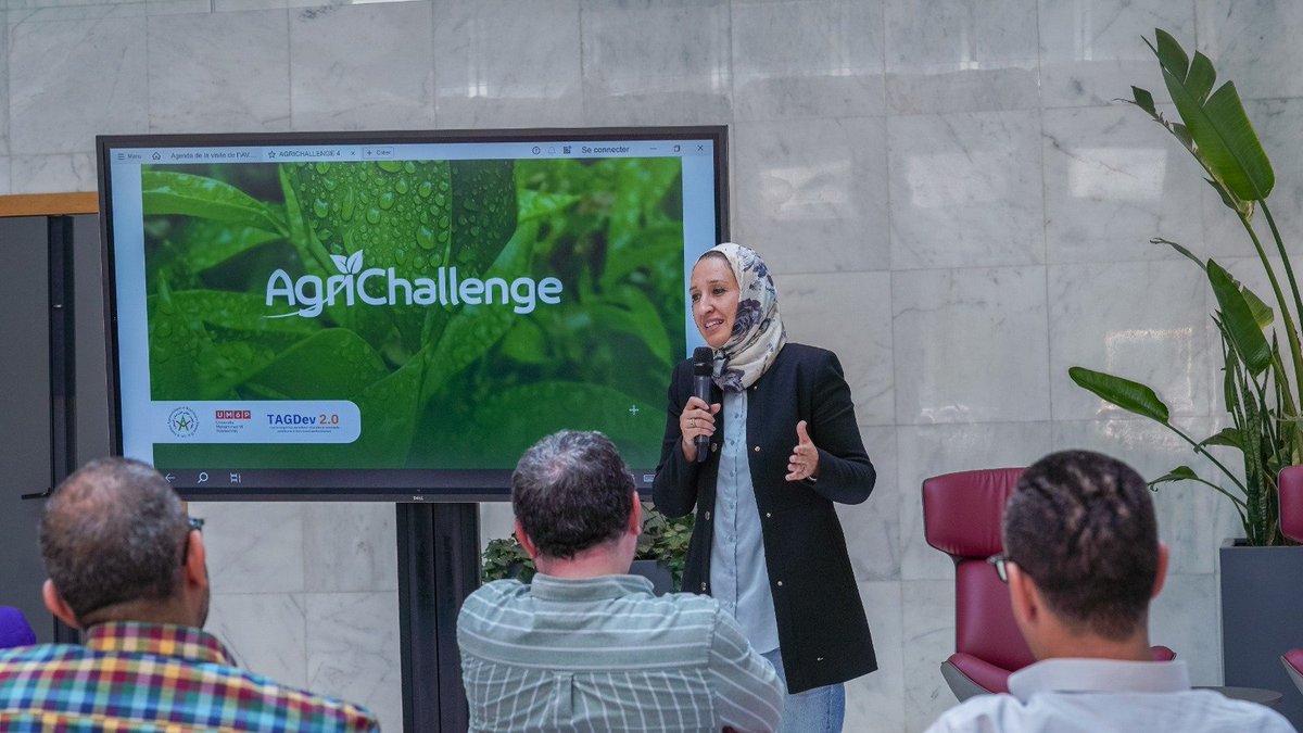 UM6P_IE_Lab's tweet photo. As part of the TAGDev2.0 program, the I&amp;E Lab organized a training session for professors from IAV, ENFI, and INRA to strengthen their capacities in innovation and entrepreneurship. https://t.co/ETFEP8FUBB