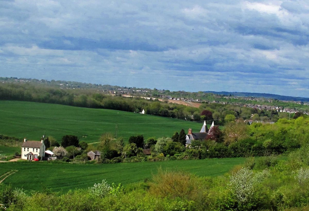 Claudia Bryan tweet media