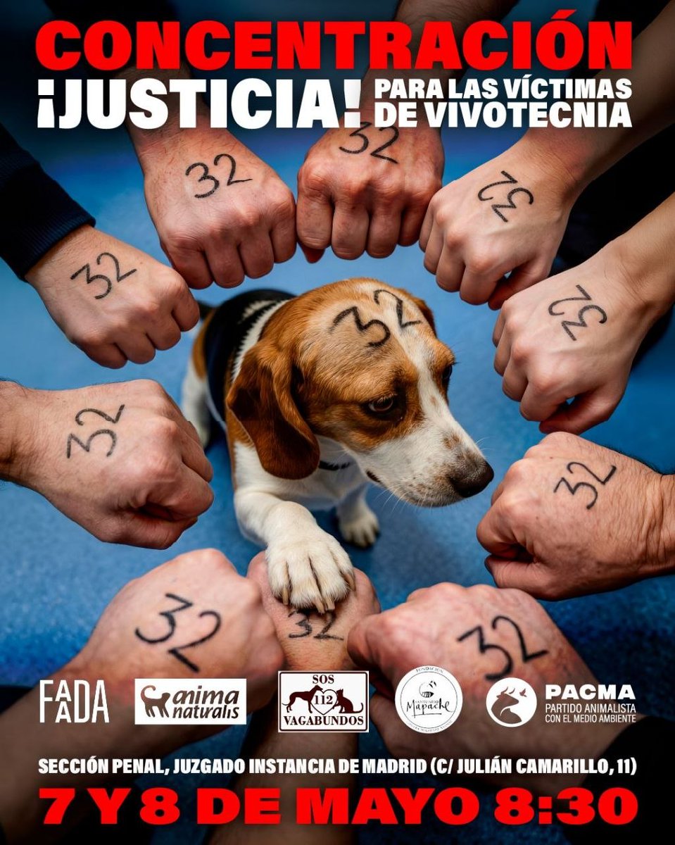 ⚖️📢  ¡ATENCIÓN, MADRID!

Súmate a las concentraciones durante el juicio del caso #Vivotecnia, uno de los casos de maltrato animal en laboratorio más graves de los últimos años en España.

🗓 7 y 8 mayo 2026
⏰️ 8:30
📍 C/ Julián Camarillo, 11. Madrid.

#CerremosVivotecnia