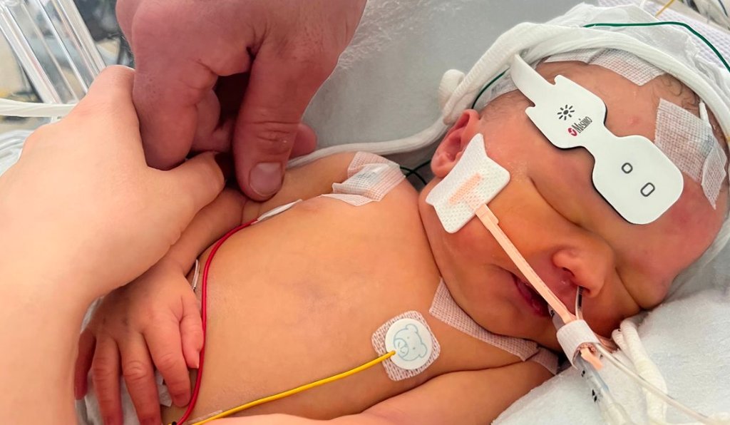 The Mirror tweet media