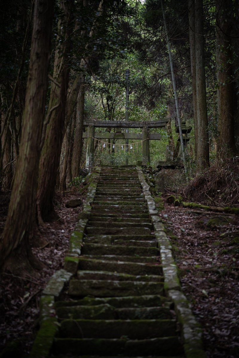 瓜生⛩️ tweet media