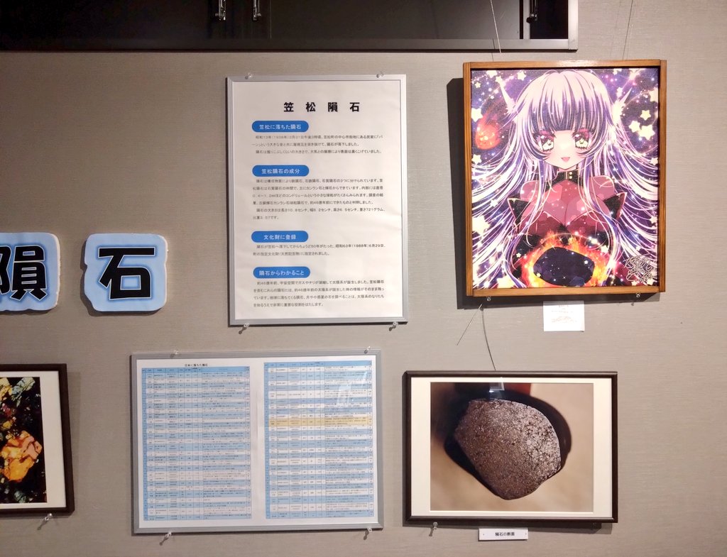 プリメーラ tweet media