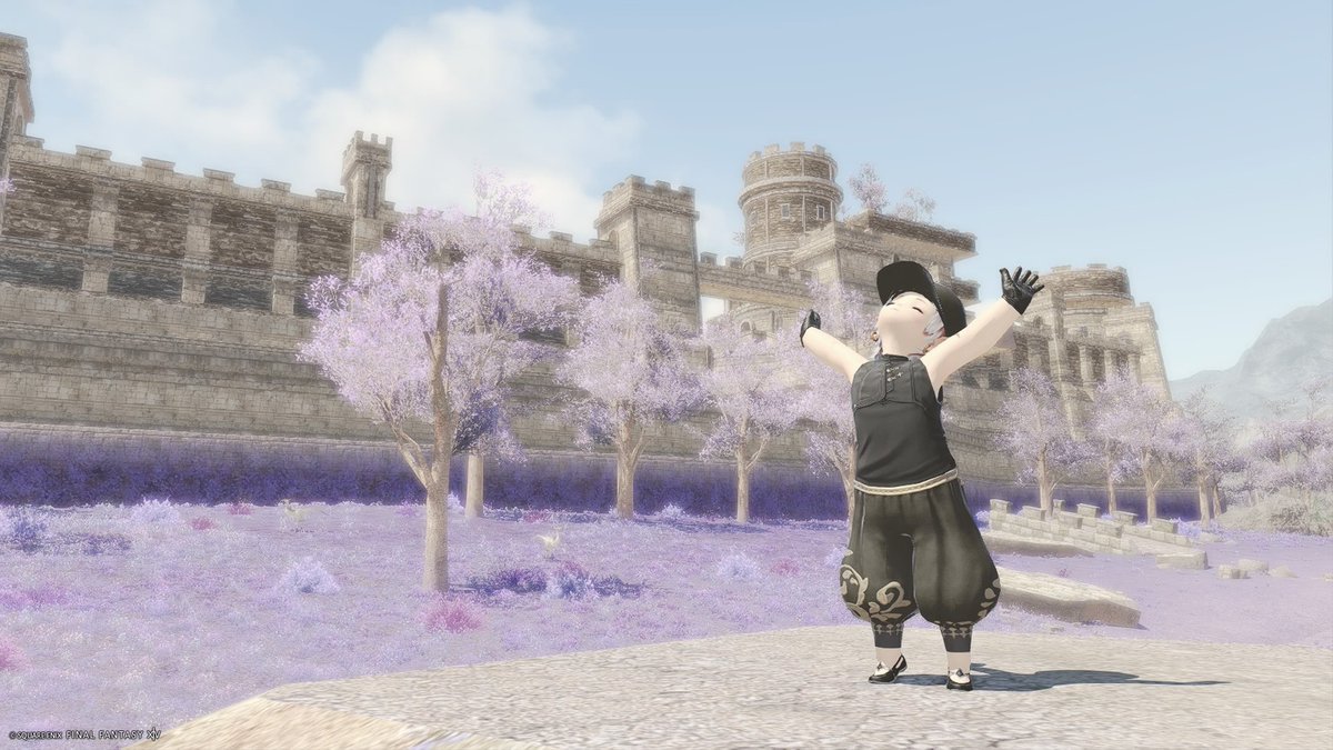 〖 募集 〗SS撮るのに景色のいい場所。