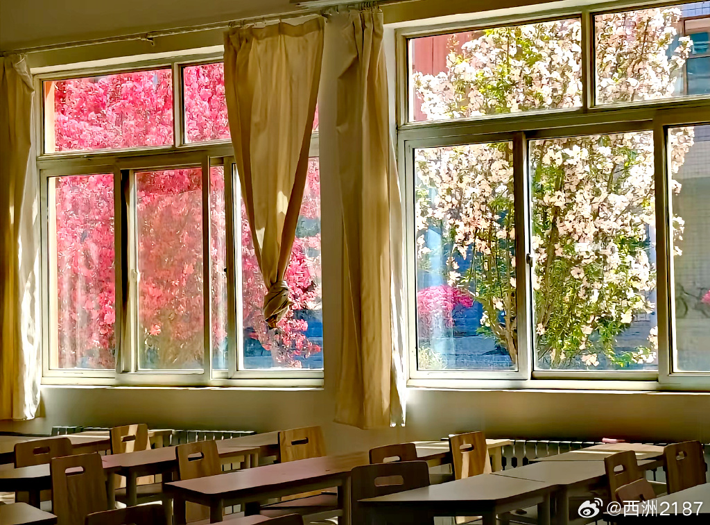 ME_llennia's tweet image. New semester, new goals! Ready to learn, grow, and make memories Let’s dive in—your adventure starts now! #BackToSchool #NewSemesterVibes