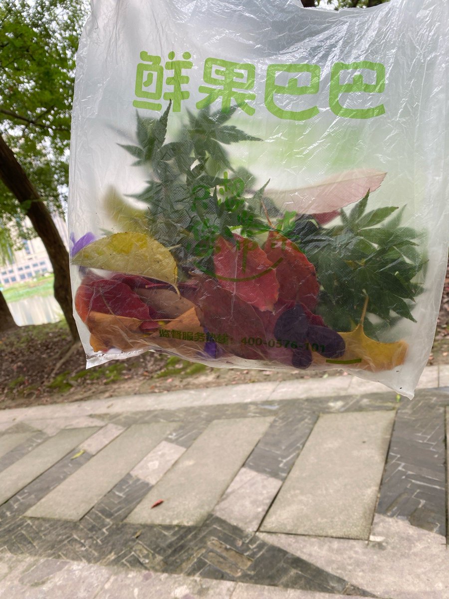 Deanna Ginger Ridge tweet media