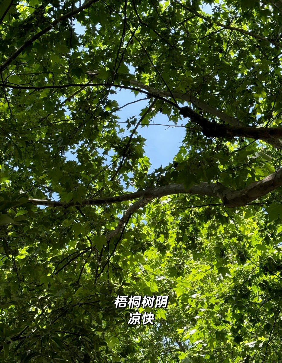 asghar shabbir tweet media