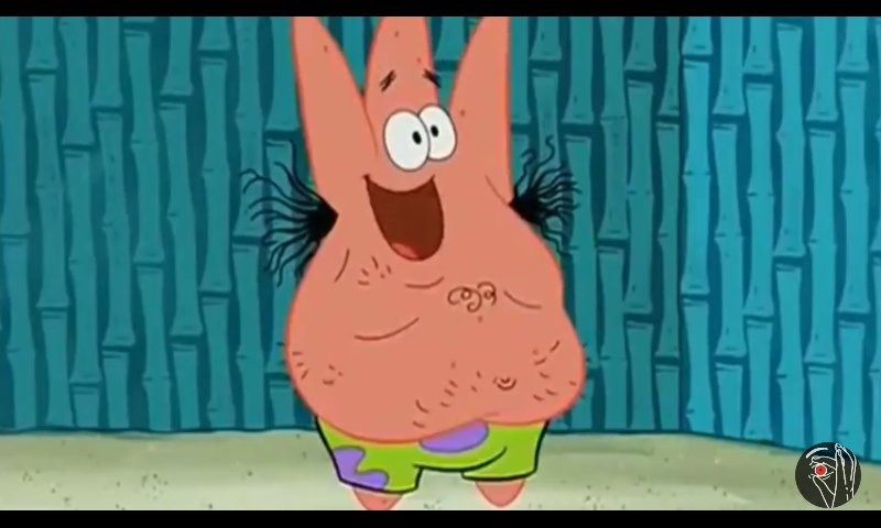 Papa Puma XIV tweet media