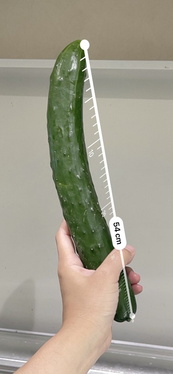 デｯｯｯｯｯｯｯｯｶ!!!!!!!!!