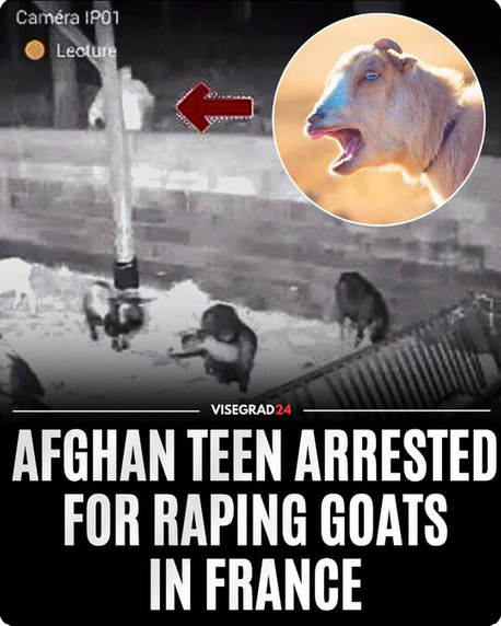 Ganesha 🇩🇪🇮🇳 tweet media