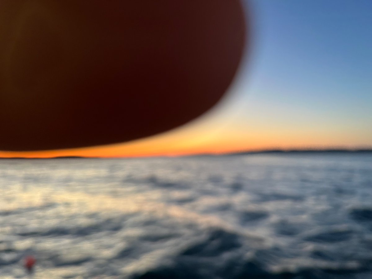 Macaulay Trollkin 🦞 tweet media