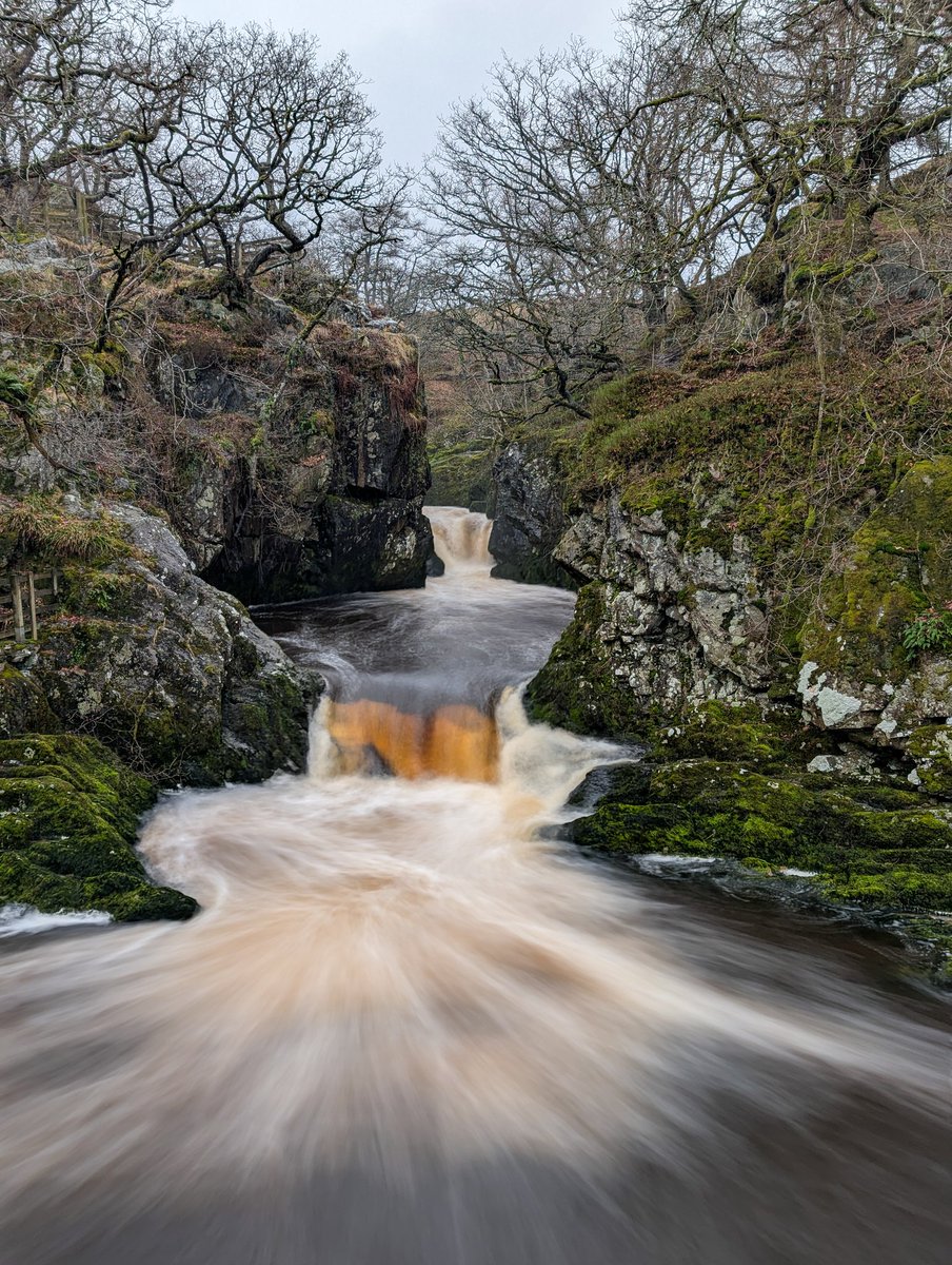 CainMat82753's tweet image. #Photography #Learning #Nature