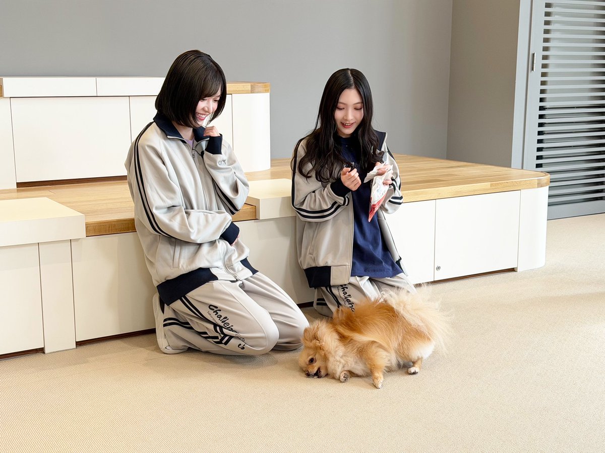 サクラミーツ🌸木曜深夜OA&TVer配信中【テレビ朝日公式】 tweet media