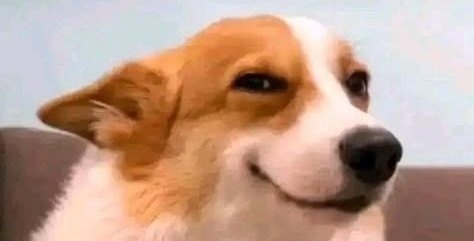 The chief market maker 🤝😹🙂‍↔️