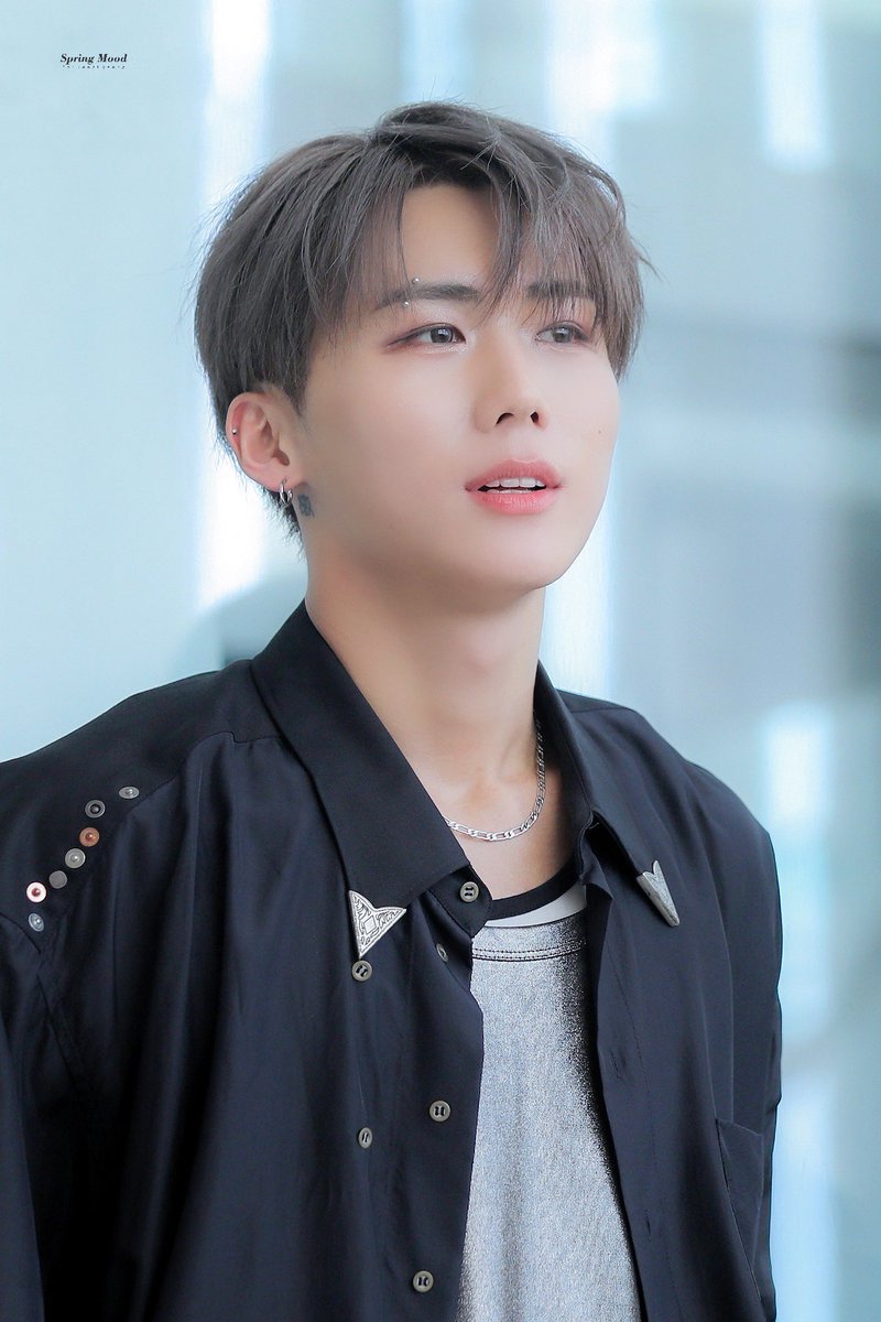 ๐๐ฉ๐ซ๐ข๐ง๐ ๐๐จ๐จ๐ tweet media