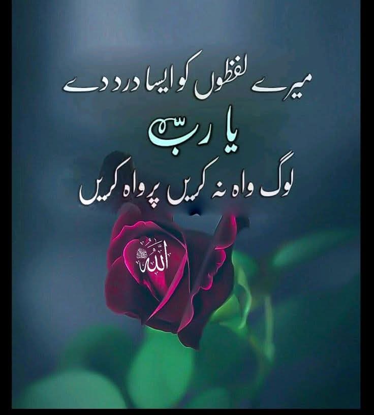 Cancer_S_S's tweet photo. میرے لفظوں کو ایسا درد دے یا RAB 
لوگ واہ نہ کریں ہرواہ کریں https://t.co/WmdHwC8DTU