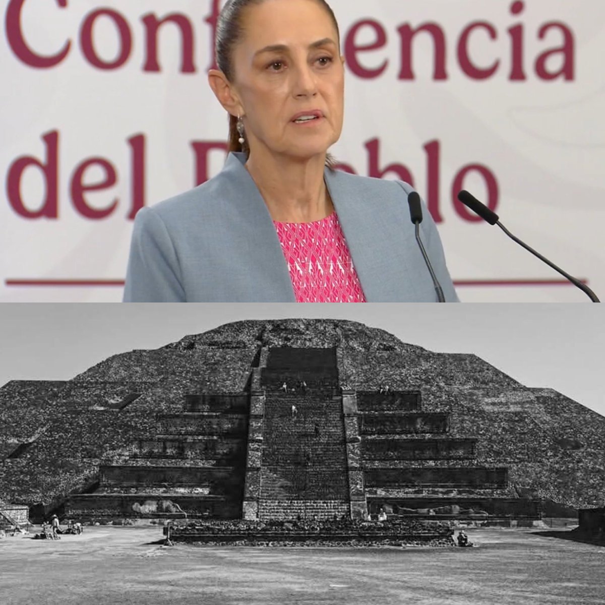 Cerebros tweet media