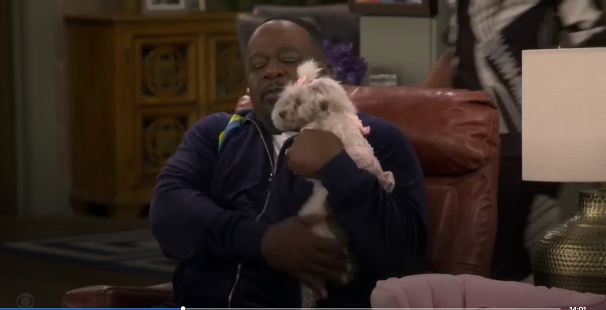 SonicDaHedgeRat's tweet image. TV show scripts now just copy  memes:
Dad and the Dog meme from The Neighborhood!
#thoughts #comedy  #sad #unoriginal #memes