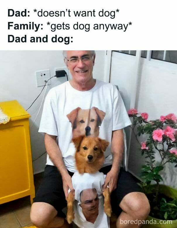 SonicDaHedgeRat's tweet image. TV show scripts now just copy  memes:
Dad and the Dog meme from The Neighborhood!
#thoughts #comedy  #sad #unoriginal #memes