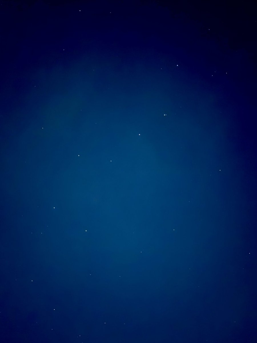 ごりさん tweet media