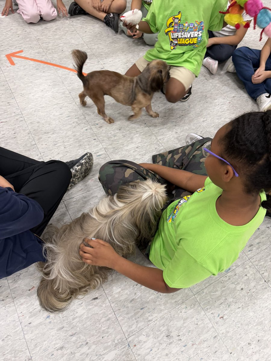 LopezNimsay's tweet image. Another successful year doing our part. @Carter_AISD students had a puppy party celebrating their contributions and support to @American_Heart @KidsHeartChall We had a blast! Woof! Woof! @AldineHPE #lifesaver #HealthyLiving #kidsheartchallenge2026