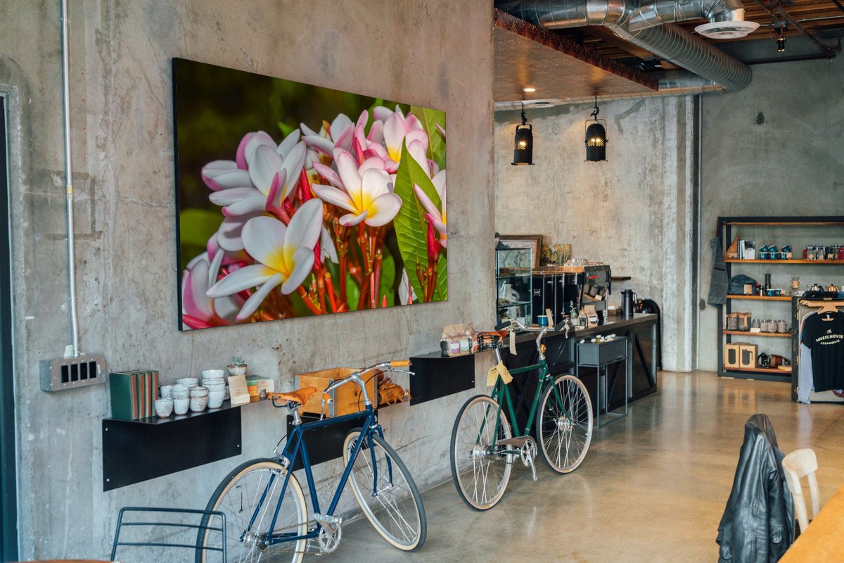 PeacockChoc's tweet image. Frangipani Floral Photography Art Print | Glossy Tropical Wall Decor tuppu.net/e524683a #lakedistrict #handmadefurniture #chocolate #shelving #greetingscard #rusticfurniture #Photography #birthday #housewarming #homeoffice #ScenicWallArt