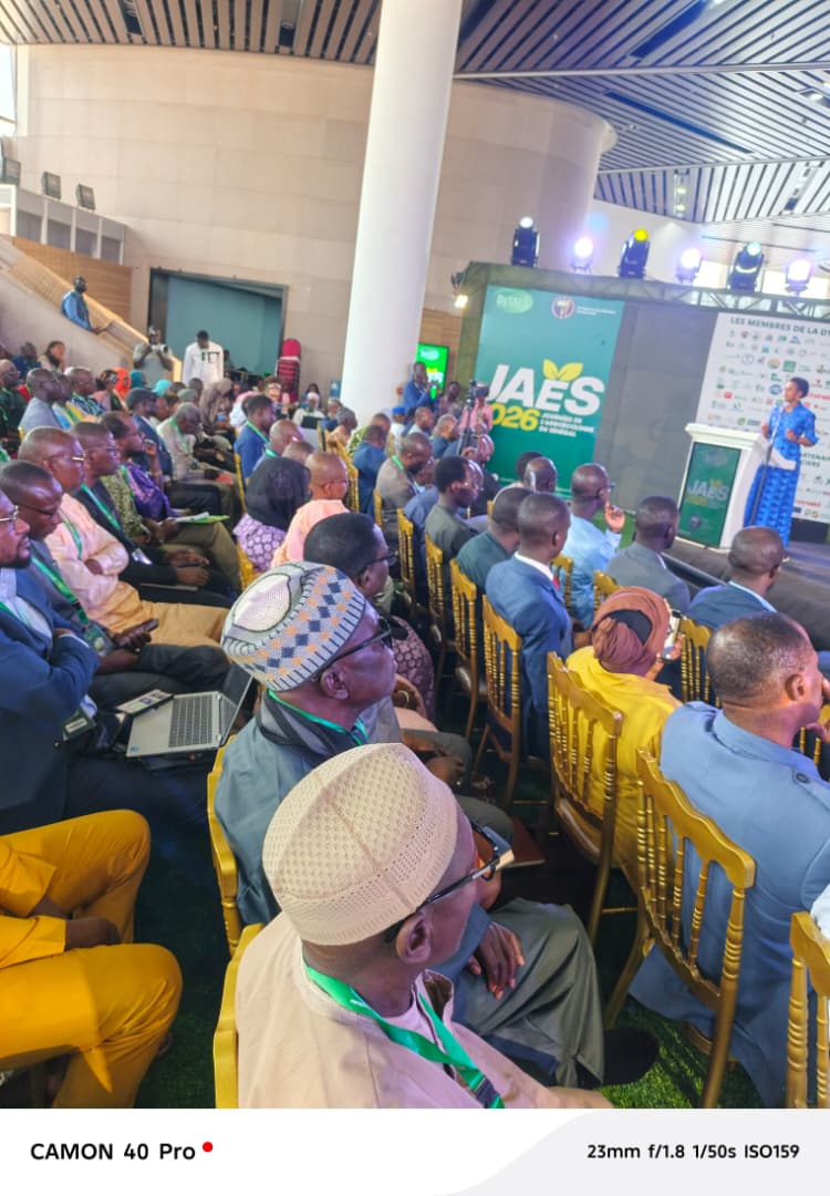 IPAR_Think-Tank 🇸🇳 tweet media