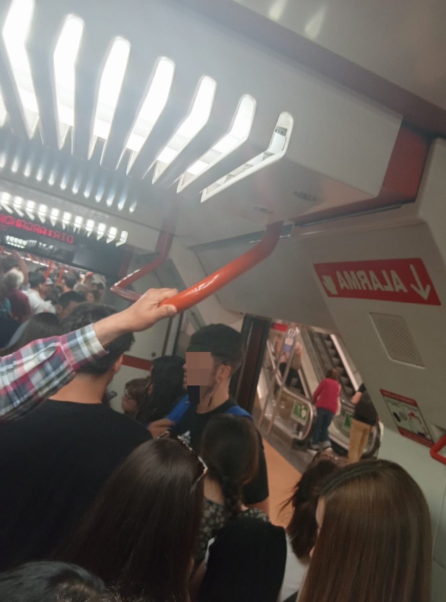 Linea9sinB tweet media